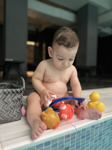 Str. Mărului 19, Dobroești 077085