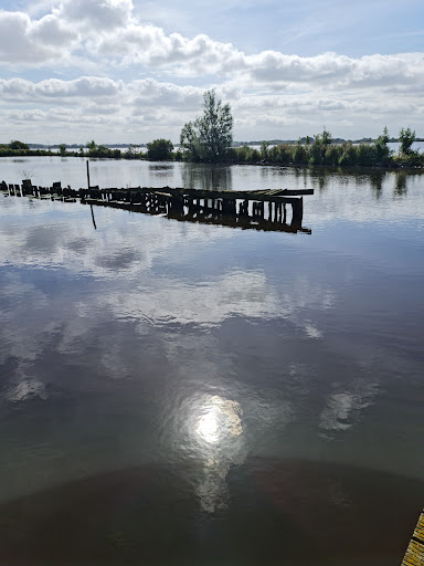 'Staatsbosbeheer - t Roegwold Tetjehorn - Thumbnail