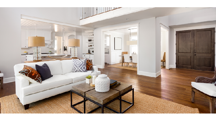 Mold Detection Services, Inc. photo
