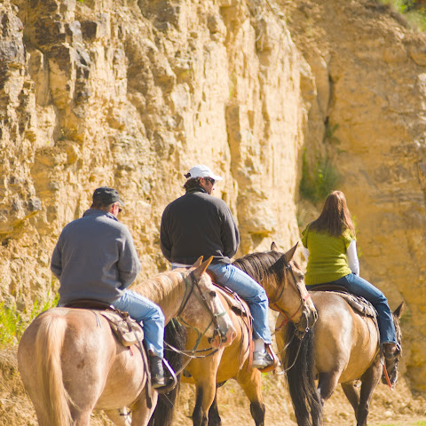 320 Guest Ranch by null