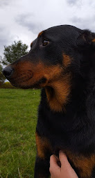 Photo n°12 de Douceur de lait à Éplessier (Magasin de produits de la ferme)