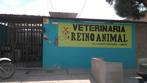 Veterinary ANIMAL 3