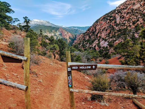 Thunderbird Garden Trailhead - Thumbnail