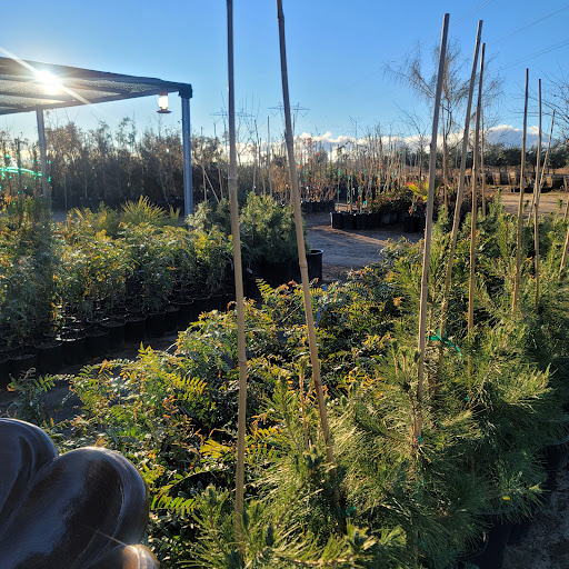 HI Desert Plant Nursery - Thumbnail