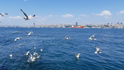 BELTUR Paşalimanı Kafe