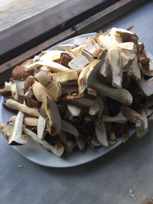 Le Kanttu