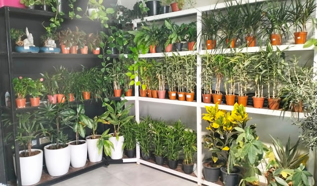 https://www.gardenoasislandscape.com/