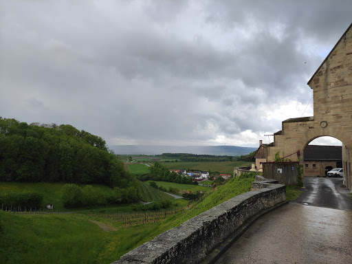 Burg Neipperg - Thumbnail
