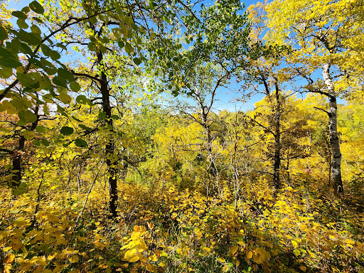 Dari-Isle Trails (west access) - Thumbnail