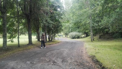Photos of Camping Calafquen