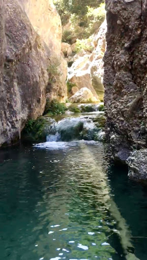 Engolidor - Thumbnail