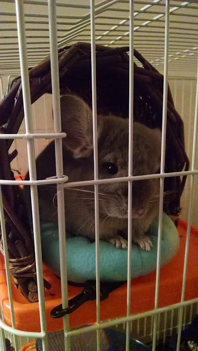 Photos of Ramtown Animal Hospital of Howell