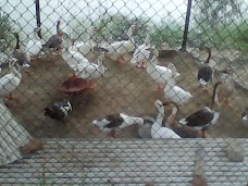 Lake (Jheel) Park wah-cantt