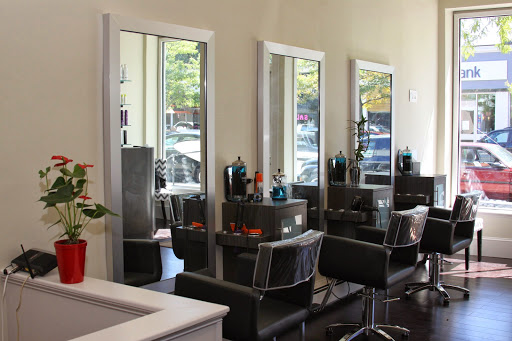 Salon Danilo - Visual