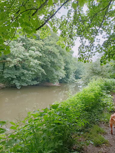 Hanham Lock - Visual