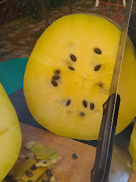 Photo n°19 de Le Temps Partagé à Lézan (Association bénévole)