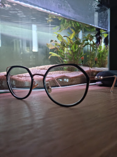 SARL AIR OPTICAL