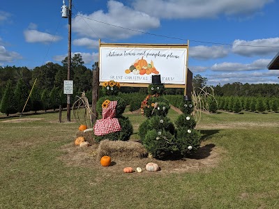 Grant Christmas Tree Farm