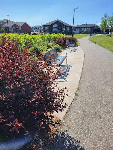 Swick Park - Visual
