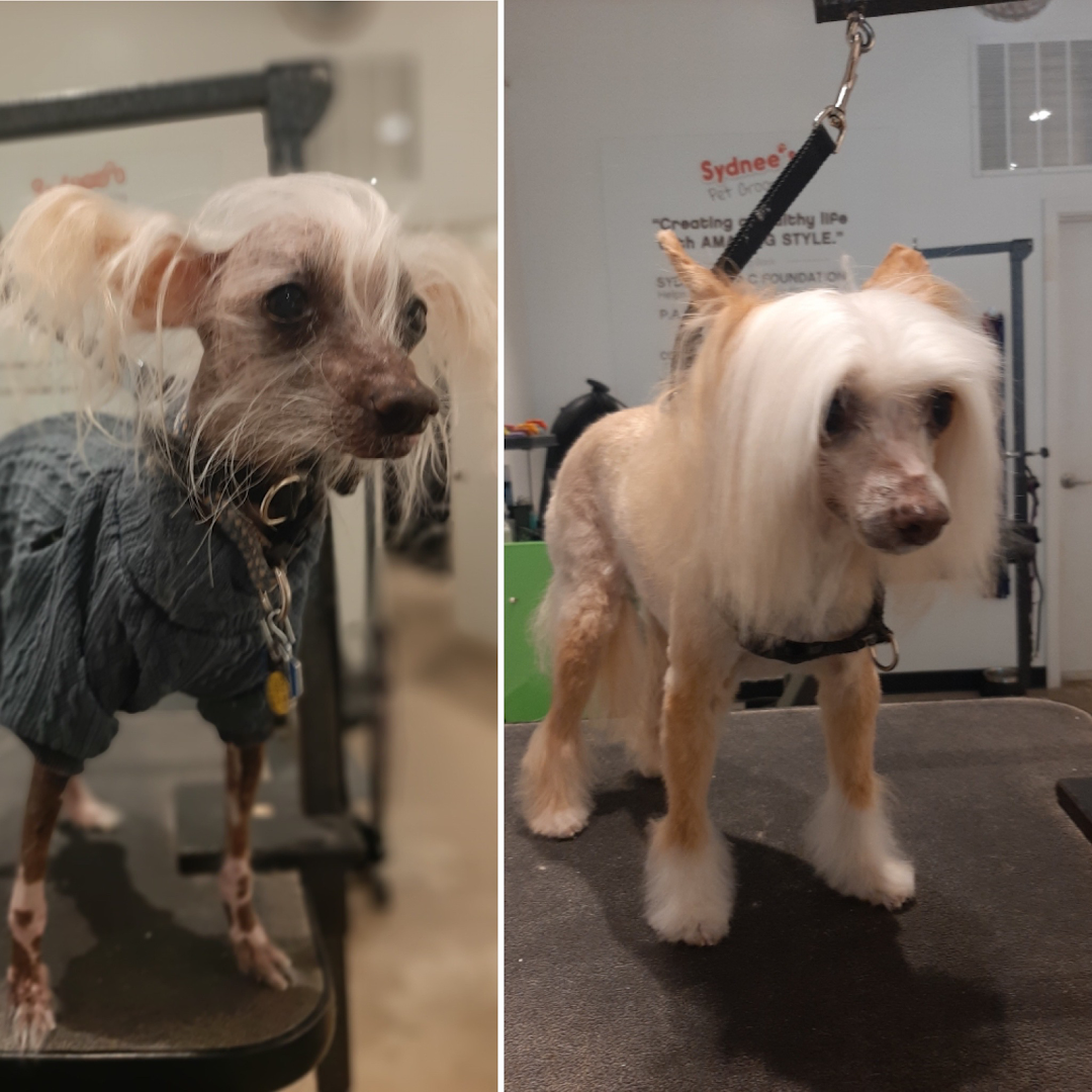 Sydnee's Pet Grooming