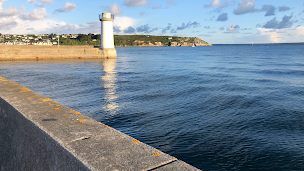 Photo n°1 de Daniel Baffait à Rennes (Praticien de médecine alternative)
