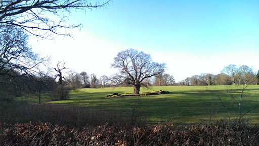 UEA Car Park - Thumbnail