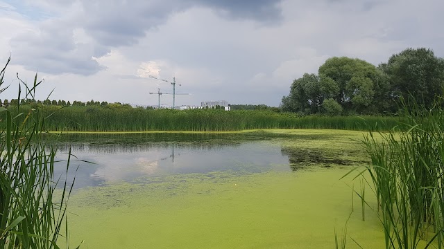 Jez. Grabowskie
