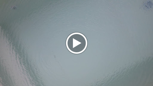 Photo de AQUANOV piscines à Sablons (33910)