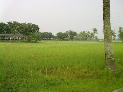 Photos of Talmar More Bus Stop