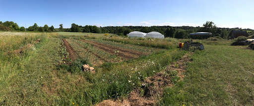 Les Jardins de La Rogerie