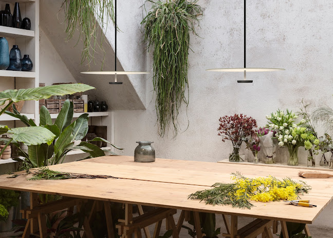 Comentarii opinii despre ILLUM LIGHT