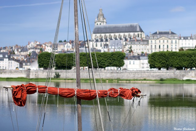 Cathédrale Saint-Louis de Blois