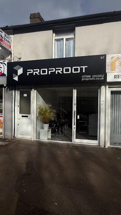 Proproot Properties