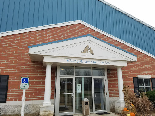Forever Friends Pet Care Center & Hospital Gallery - United States