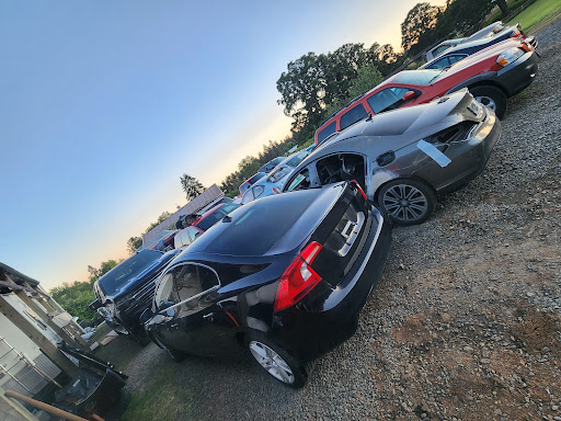 Backyard Autobody - Visual