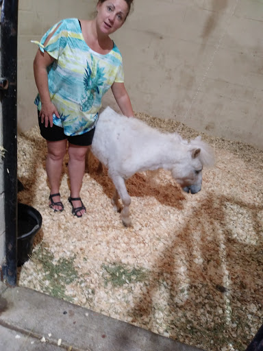 Weatherford Equine Medical Center P.C. - Thumbnail