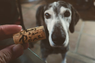 Photo n°70 de Cartouches à Toulouse (Bistro)