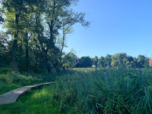 Ruschdahlmoor - Thumbnail