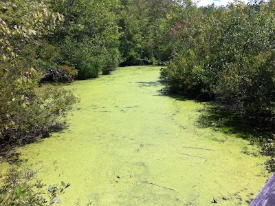 Photos of Dinosaur State Park