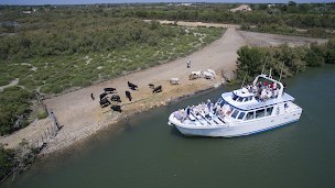 Photo n°4 de Bateau Le Camargue à Saintes-Maries-de-la-Mer (Agence d'excursions en bateau)