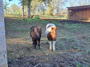 Photo n°16 de Les gîtes d'Ecoline à Sadirac (Gîte)