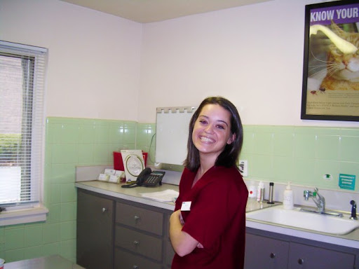 Foster Animal Hospital Gallery - United States
