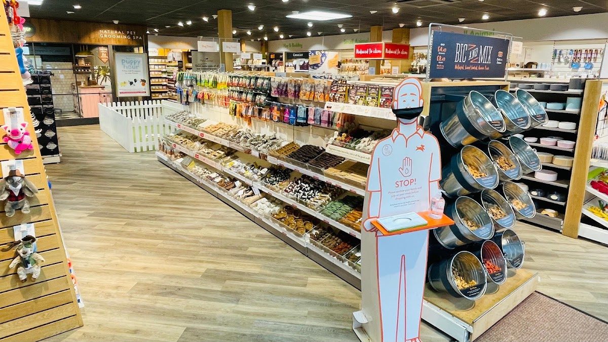 Pets Corner St Albans, Your Best Reviewed Local Pet Shop