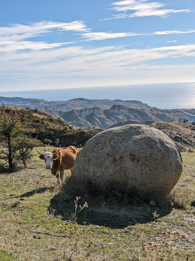 Monte Trizzi - Visual