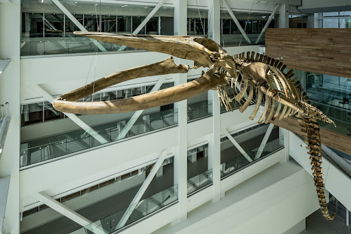 Core Sciences Facility - Visual
