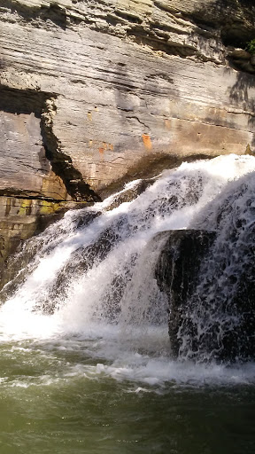 East Ithaca Nature Preserve - Thumbnail