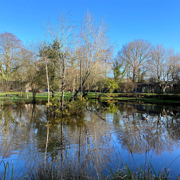 INDIO LAKE - Log Cabins in Bovey Tracey