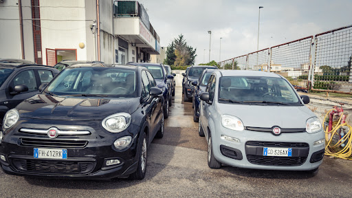 Veg Car Services - Visual