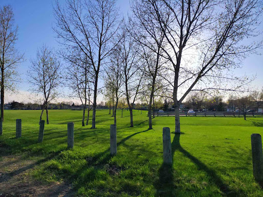 Simkin Park - Visual