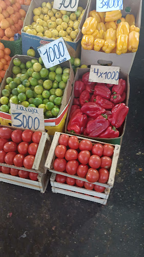Opiniones de Terminal Agro Sur en Iquique - Supermercado
